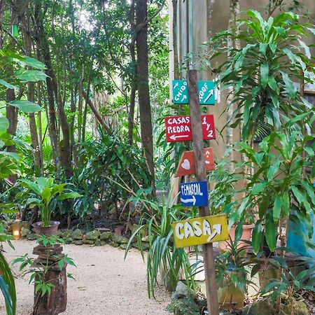 كانكون Guest House La Aldea Holistic Experience المظهر الخارجي الصورة