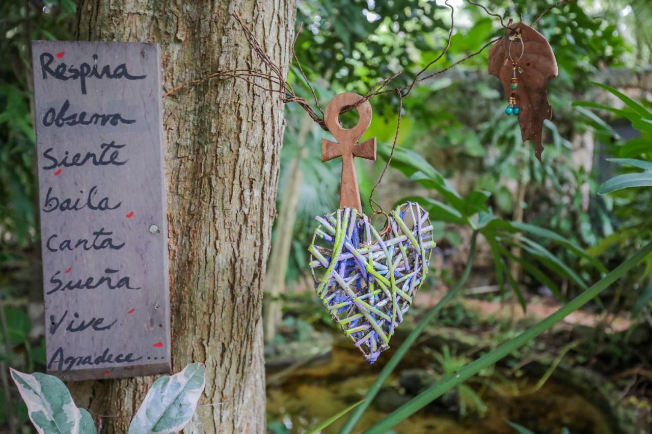 كانكون Guest House La Aldea Holistic Experience المظهر الخارجي الصورة