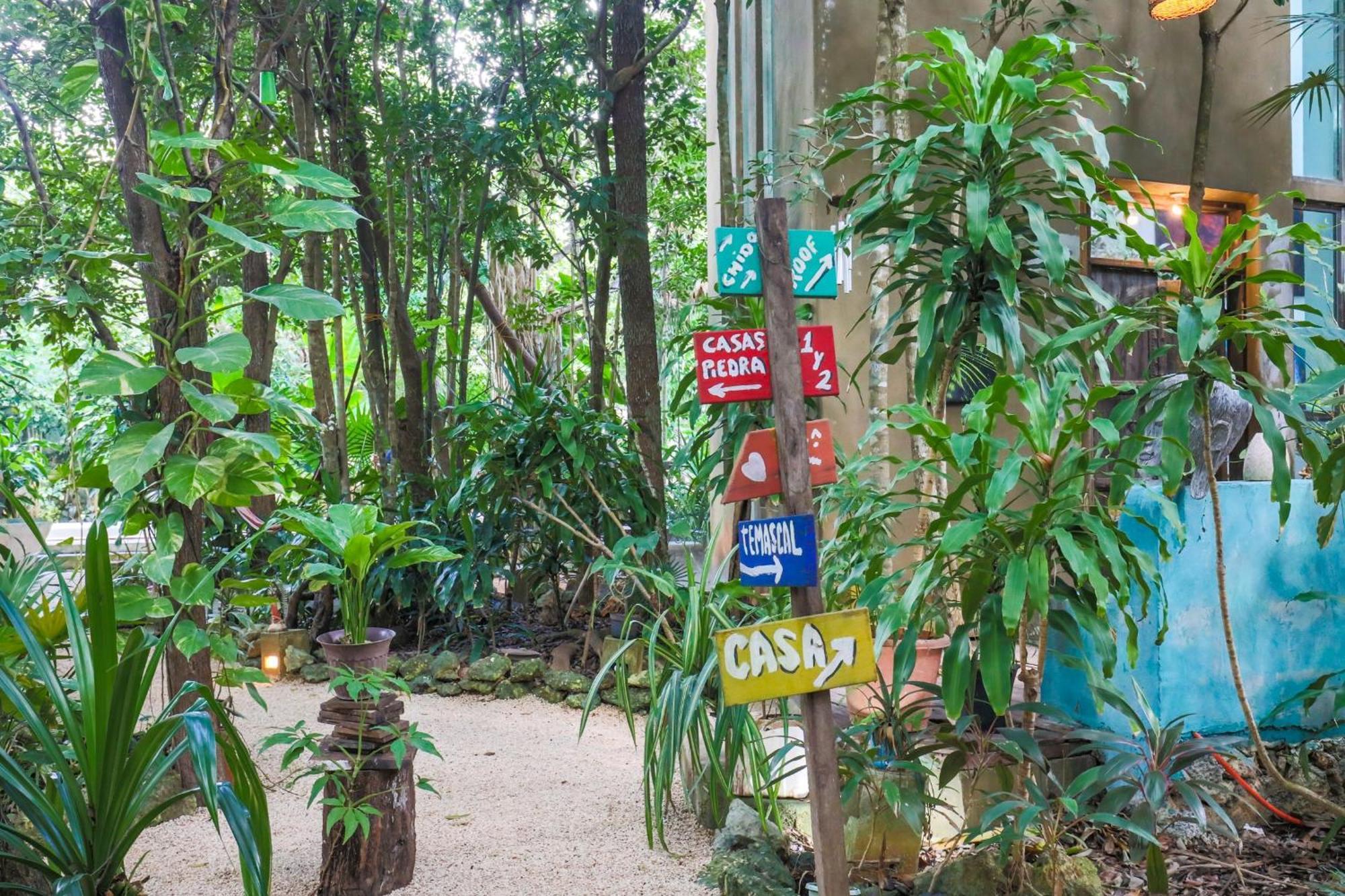 كانكون Guest House La Aldea Holistic Experience المظهر الخارجي الصورة