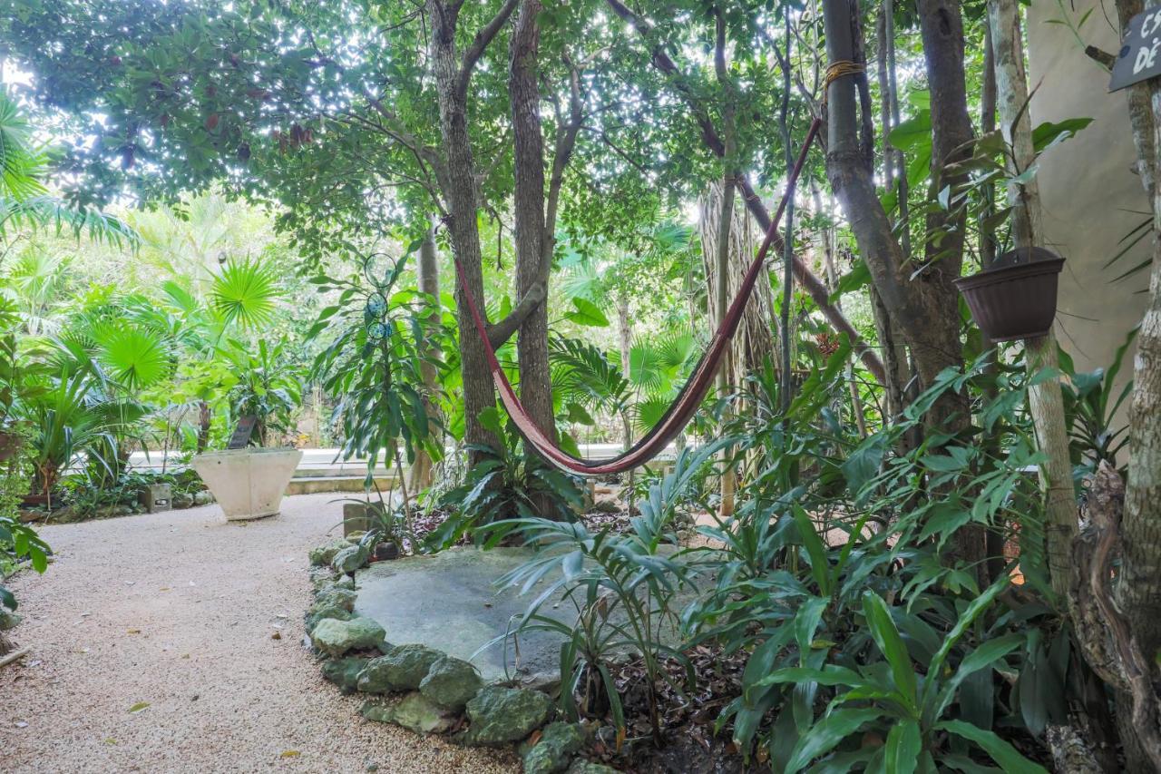 كانكون Guest House La Aldea Holistic Experience المظهر الخارجي الصورة