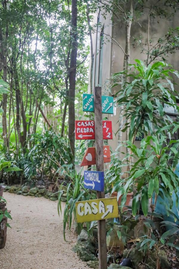 كانكون Guest House La Aldea Holistic Experience المظهر الخارجي الصورة