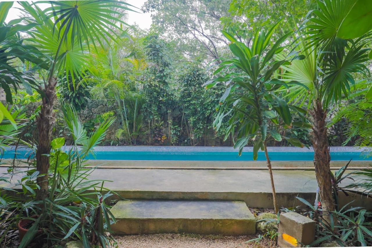 كانكون Guest House La Aldea Holistic Experience المظهر الخارجي الصورة