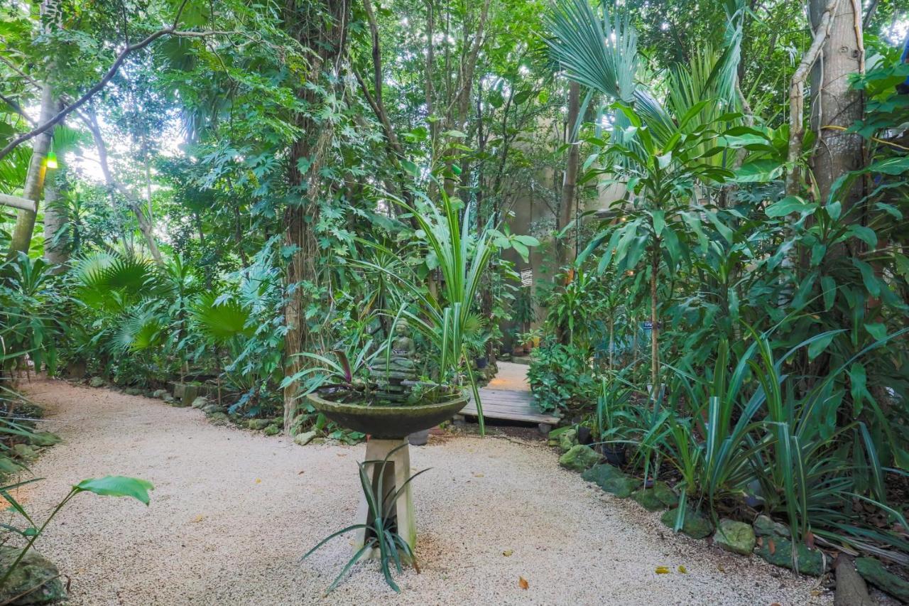 كانكون Guest House La Aldea Holistic Experience المظهر الخارجي الصورة