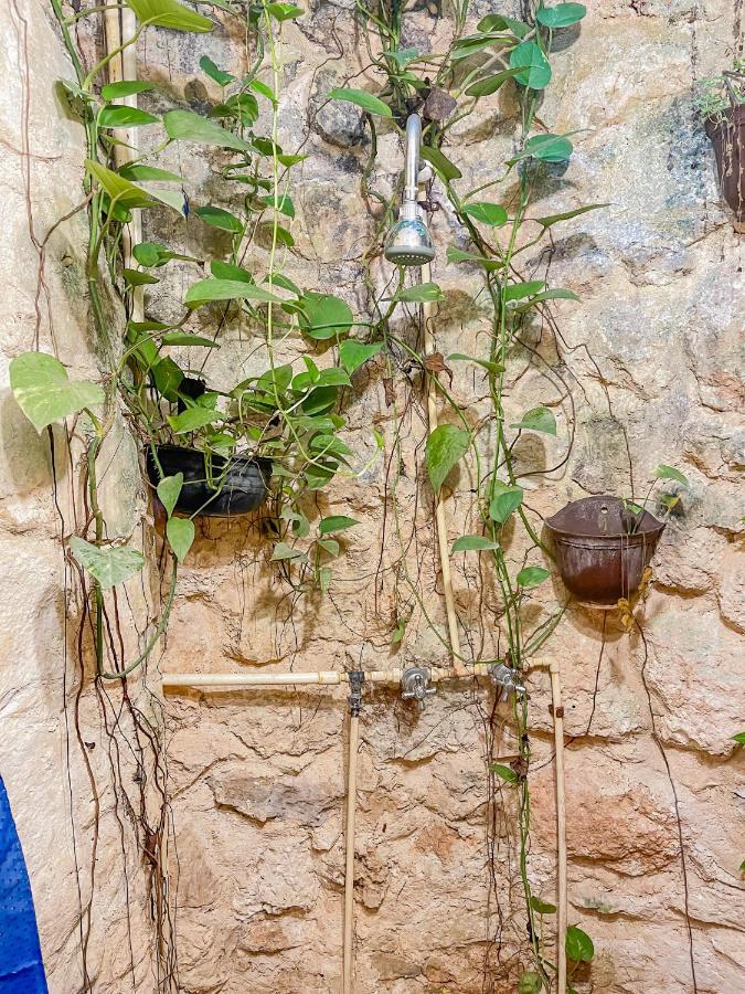 كانكون Guest House La Aldea Holistic Experience المظهر الخارجي الصورة